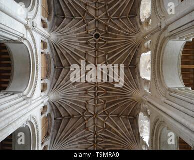 Die Kathedrale von Norwich, Norwich, Norfolk, Großbritannien Stockfoto