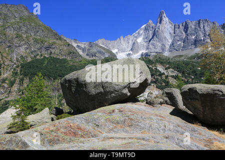 Bloc erratique. Les Drus (3754 m). Le Petit Dru (3.730 m) et le grand Dru (3.754 m). Chamonix. Haute-Savoie. Frankreich. Stockfoto