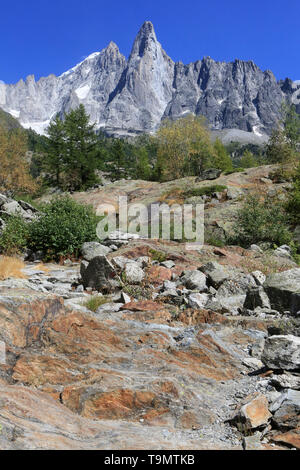 Bloc erratique. Les Drus (3754 m). Le Petit Dru (3.730 m) et le grand Dru (3.754 m). Chamonix. Haute-Savoie. Frankreich. Stockfoto