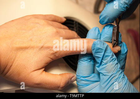 Frauenhände - der Meister in blau Handschuhe macht den Client Hardware Maniküre. Stockfoto