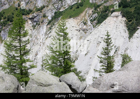 La Mer de Glace. Petit âge glaciaire. Bloc de Granit et cordons morainiques. Montenvers. Haute-Savoie. Frankreich. Stockfoto