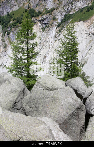 La Mer de Glace. Petit âge glaciaire. Bloc de Granit et cordons morainiques. Montenvers. Haute-Savoie. Frankreich. Stockfoto