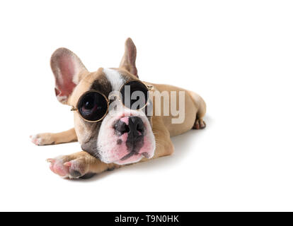 Süße französische Bulldogge tragen Sonnenbrille auf weißem Hintergrund, Sommer Konzept Stockfoto
