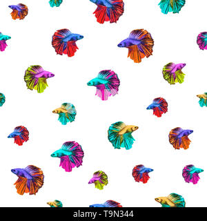 Aquarell von Hand bemalt nahtlose Muster von Motley Betta splendens auf weißem Hintergrund Stockfoto