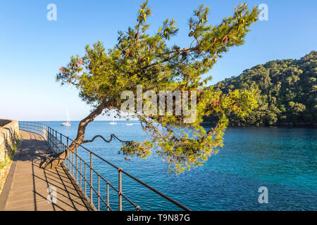 Wunderschöne Aussicht auf die Bucht von Paraggi in Santa Margherita Ligure, mediterranen seacoat in der Nähe von Luxury Resort Portofino, Italien Stockfoto