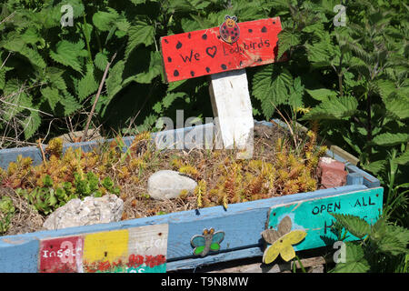 Fehler Hotel aus recyceltem Holz- Palette durch eine Hecke in einem gemeinschaftlichen Bereich im Frühjahr mit Gras, Brennnesseln und anderer Vegetation wächst um ihn herum. Stockfoto