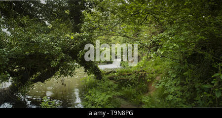 Woodland Wasserfall an der Medway Fluss, England, Vereinigtes Königreich, Europa Stockfoto