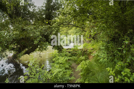 Woodland Wasserfall an der Medway Fluss, England, Vereinigtes Königreich, Europa Stockfoto