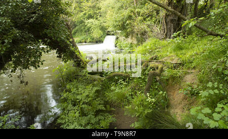 Woodland Wasserfall an der Medway Fluss, England, Vereinigtes Königreich, Europa Stockfoto