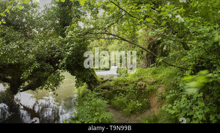 Woodland Wasserfall an der Medway Fluss, England, Vereinigtes Königreich, Europa Stockfoto