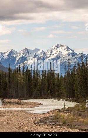 Columbia-Shuswap Rocky Mountains Kanada Stockfoto