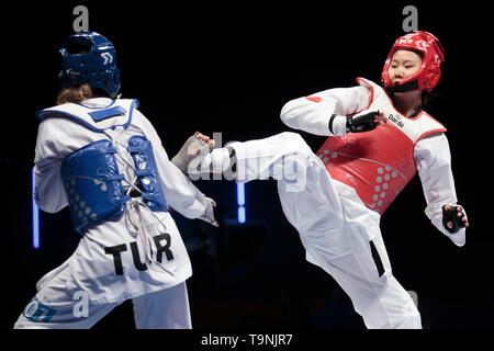 Manchester. 19 Mai, 2019. Chinas Zhang Mengyu (R) konkurriert gegen die Türkei nur Tataren Askari-67 der Frauen kg Finale bei den World Taekwondo Championships 2019 in Manchester, Großbritannien am 19. Mai 2019. Zhang gewann 18-9. Credit: Jon Super/Xinhua/Alamy leben Nachrichten Stockfoto