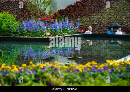 (190520) - Peking, 20. Mai 2019 (Xinhua) - Besucher Tour die Liaoning Garten des Peking Internationale Gartenbauausstellung in Peking, der Hauptstadt von China, 29. April 2019. Provinz Liaoning befindet sich im südlichen Teil der Nordosten Chinas befindet mit dem Bohai Meer und dem Gelben Meer liegend im Süden. Im Laufe der Jahre hat die Provinzregierung hat ökologische Entwicklung priorisiert und die Verbesserung der Umwelt in den Mittelpunkt ihrer Arbeit stellen. Die ökologischen Bedingungen der Provinz haben dank der Verbesserung der systematischen Erhaltung der natürlichen Umwelt, die gesamte Verwaltung der ländlichen Stockfoto