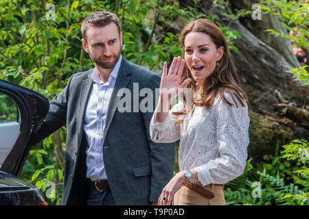 London, Großbritannien. 20 Mai, 2019. Drücken Sie die Taste Vorschau Tag an der RHS Chelsea Flower Show. Credit: Guy Bell/Alamy leben Nachrichten Stockfoto