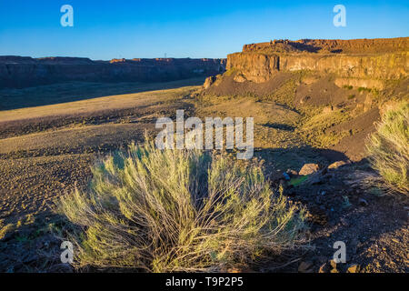 Basaltfelsen entlang der Kante des Franzosen Coulee, einige Der scablands geleitet, in der Nähe von Vantage, Washington State, USA Stockfoto