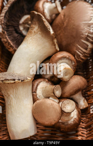 Frische Pilze im Weidenkorb Stockfoto