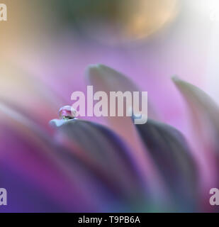 Schöne Rosa Natur Hintergrund. Farbenfrohe künstlerische Wallpaper. Natürliche abstrakten Makro Fotografie. Kreative Floristik Design. violette Farbe. Gerbera Daisy. Stockfoto