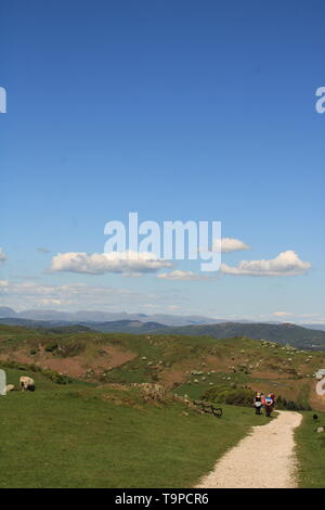 UK Ulverston, Cumbria. Panoramablick von hoad Hill Ulverston, Furness Halbinsel. Stockfoto