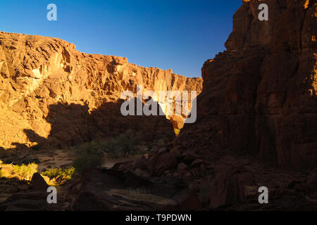 Panorama im Inneren Canyon aka Guelta d'Archei, Osten Ennedi, Tschad Stockfoto