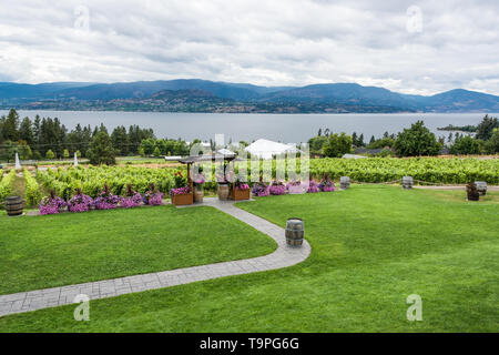 Hochzeit Zeremonie auf dem Weinberg mit Panoramablick auf den Okanagan See. Stockfoto