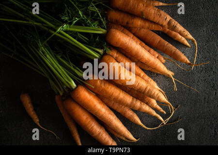 Nantes Karotten auf rustikalen dunklen Hintergrund. Frische organische Superfood Gesund Essen Konzept und Diabetes zu kontrollieren. Stockfoto