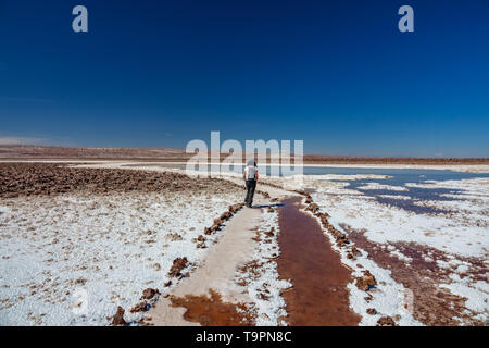 Ansicht der Rückseite des walkin Wandern entlang Salar Stockfoto