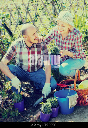 Nach lachen Paar im Garten Im Garten im Hinterhof eingerückt Stockfoto