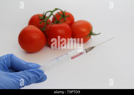 Spritze und Tomaten. Die GVO-Spezialist spritzt Flüssigkeit aus einer Spritze in eine rote Tomate. Genetisch Ernährung Konzept modifiziert. Stockfoto