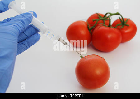 Spritze und Tomaten. Die GVO-Spezialist spritzt Flüssigkeit aus einer Spritze in eine rote Tomate. Genetisch Ernährung Konzept modifiziert. Stockfoto