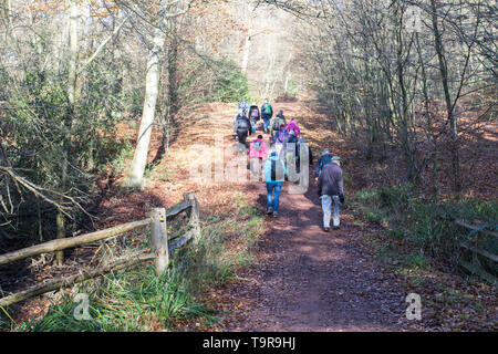 Gruppe von älteren Menschen Gehen/Wandern durch Epping Forest an einem sonnigen Tag. Stockfoto