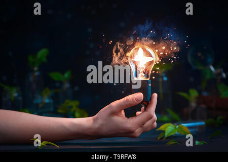 Glühbirne mit einem Schmetterling in eine Hand. Zusammenführen von Wissenschaft und Magie kreative Still life Konzept mit kopieren. Stockfoto