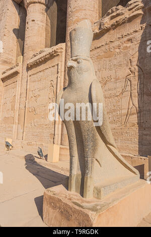Neben dem bird Statue des Horus am Eingang des Tempels von Edfu Stockfoto