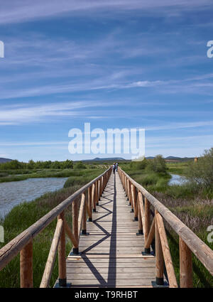 Der Holzsteg führt über die Kante der Salzwasser Lagune von Fuente de Piedra, mit Menschen zu Fuß auf. Andalusien, Spanien Stockfoto