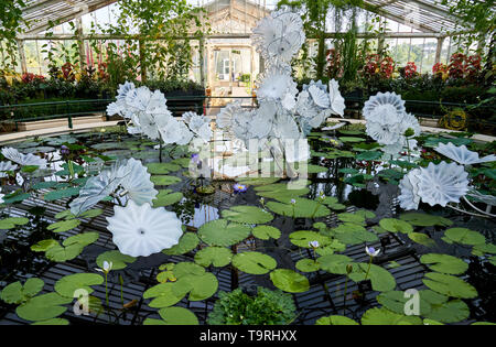 Ethereal weiß persischen Teich ist Teil der neuesten Arbeiten der zeitgenössischen Glas Künstler Dale Chihuly, die Chihuly in Kew: Reflexionen über die Natur Ausstellung, in Kew Gardens, Surrey Stockfoto