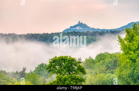 Nebel entstehen aus einem Tal nach einem Abend Regendusche im Frühjahr, Aussicht auf den Berg Drachenfels im Siebengebirge, eine hügelige wald landschaft in Deutschland Stockfoto