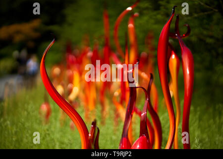 Cattails und Cooper birke Schilf ist Teil der neuesten Arbeiten der zeitgenössischen Glas Künstler Dale Chihuly, die Chihuly in Kew: Reflexionen über die Natur Ausstellung, in Kew Gardens, Surrey Stockfoto