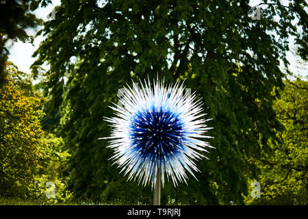 Saphire Star ist Teil der neuesten Arbeiten der zeitgenössischen Glas Künstler Dale Chihuly, die Chihuly in Kew: Reflexionen über die Natur Ausstellung, in Kew Gardens, Surrey Stockfoto