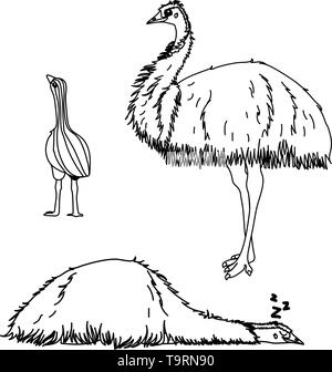 Vektorlinie cartoon Tier clip art Strauß emu Vogel Stock Vektor