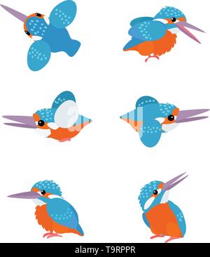 Vektor Flachbild cartoon animal Clipart kingfisher Vögel gesetzt Stock Vektor