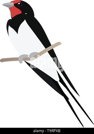 Vektor Flachbild cartoon animal Clipart Vogel schlucken Stock Vektor