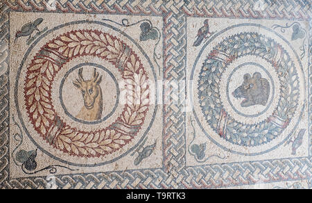 Antike römische Mosaik, tierköpfen Mosaik, Villa Romana del Casale, UNESCO-Weltkulturerbe, in der Nähe von Piazza Armerina, Provinz Ragusa, Sizilien, Italien, Stockfoto