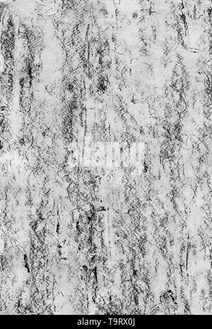 Monochrome abstract grunge Hintergrund. Textur mit Kratzern, Punkte, Linien mit Schwarz und Weiß. Snake Skin Nachahmung. Animal-print. Stockfoto