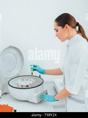 Wissenschaftler arbeiten mit Blutproben in Durchstechflaschen auf eine Zentrifuge Maschine. Blut Forschung Stockfoto