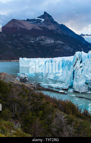 Der zerklüfteten Gesicht des Gletschers Perito Moreno und Lago Argentino im Nationalpark Los Glaciares in der Nähe von El Calafate, Argentinien. Weltkulturerbe der UNESCO Stockfoto