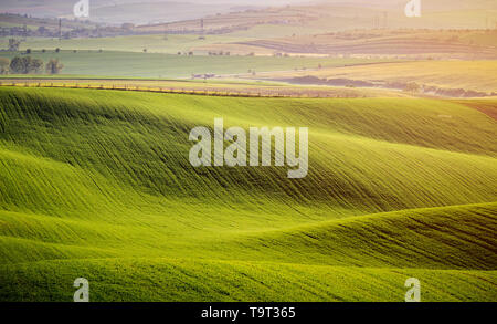 Rolling Hills von grüne Weizenfelder. Erstaunliche fairy minimalistischer Landschaft mit Wellen, Berge, sanften Hügeln. Abstrakte Natur Hintergrund. Südmähren, Stockfoto