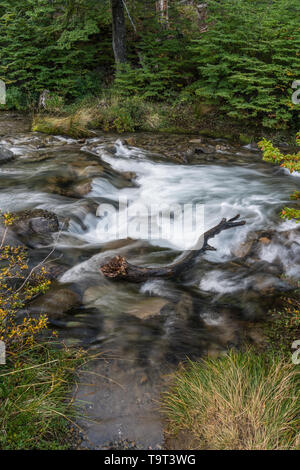 Seidig bewegten Wasser in der Arroyo del Salto in der Nähe der Chorillo del Salto Wasserfall im Nationalpark Los Glaciares in der Nähe von El Chalten, Argentinien. Von der UNESCO zum Stockfoto