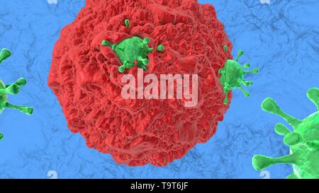 3D-Darstellung der Absorption von Viren, die von Immunzellen im Körper des Menschen. Stockfoto