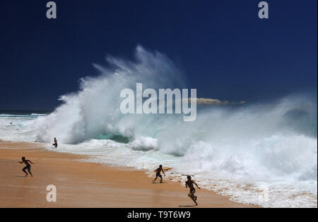 Riesige Wellen am Sandstrand, Oahu, Hawaii, USA Stockfoto