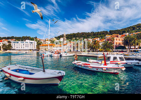 Blick auf erstaunliche Archipel mit Fischerbooten vor der Stadt Hvar, Kroatien. Hafen der alten Adria Insel Hvar mit der Möwe fliegen über den Stockfoto