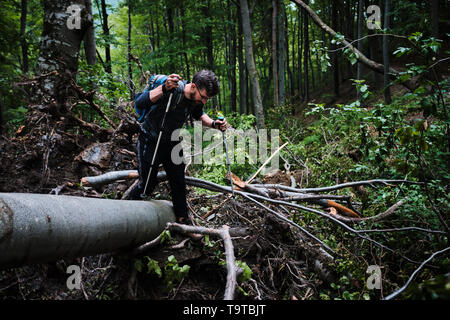 Junger Mann Wandern durch dichten Wald Stockfoto